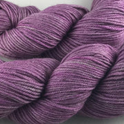 Genus Tulipa Kit - Whimsical Colors Yak Bliss Fairy Slippers