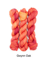 Neighborhood Fiber Co Organic Studio Worsted - Gwynn Oak