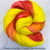 Indigodragonfly Cariboubaa "Roadie to the Max" and "Caution Tape Malfunction"