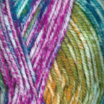 Encore Colorspun