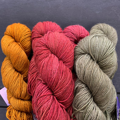 Indigodragonfly Wingenhooven DK