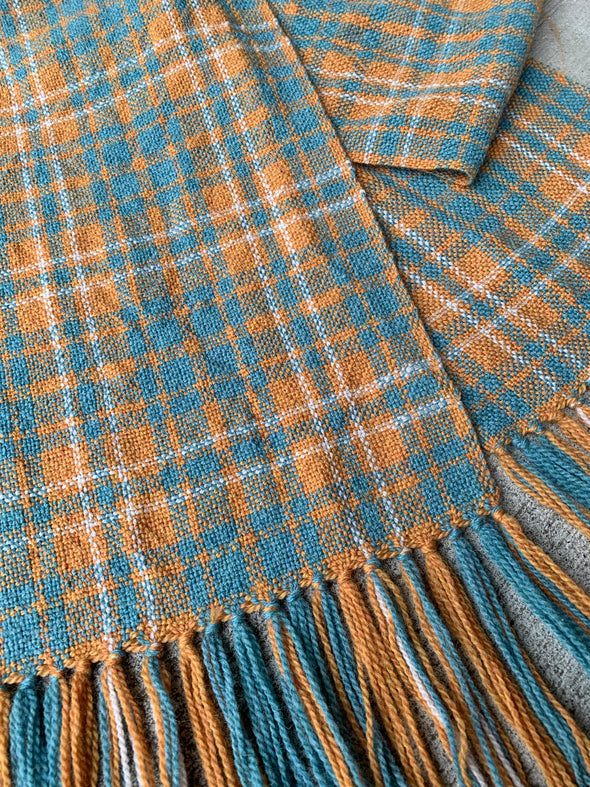 Plaid Clinic