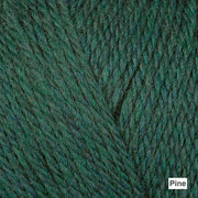 Berroco Ultra Wool DK - Colorway "Pine" (forest green)