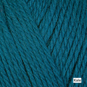 Berroco Ultra Wool DK - Colorway "Kale" (medium turquoise)