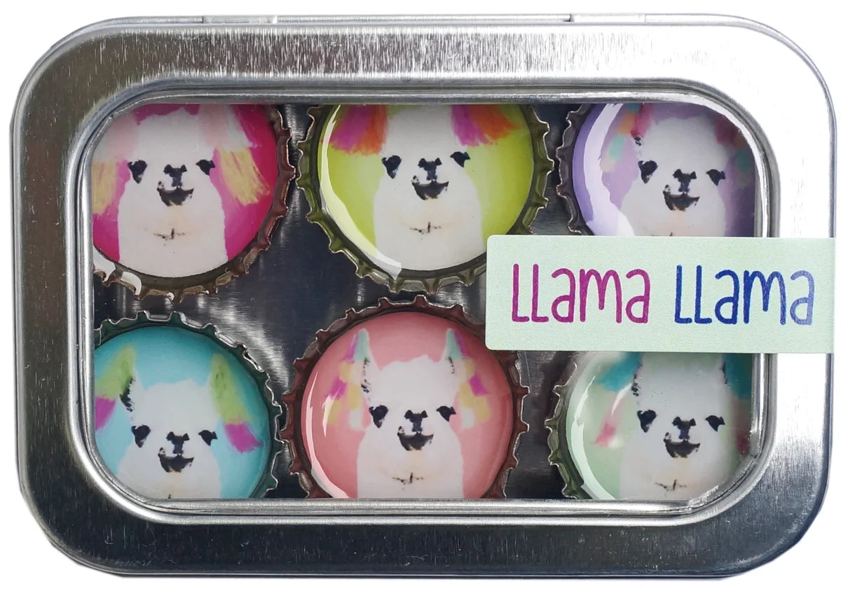 Kate's Magnets, bottle cap magnet set